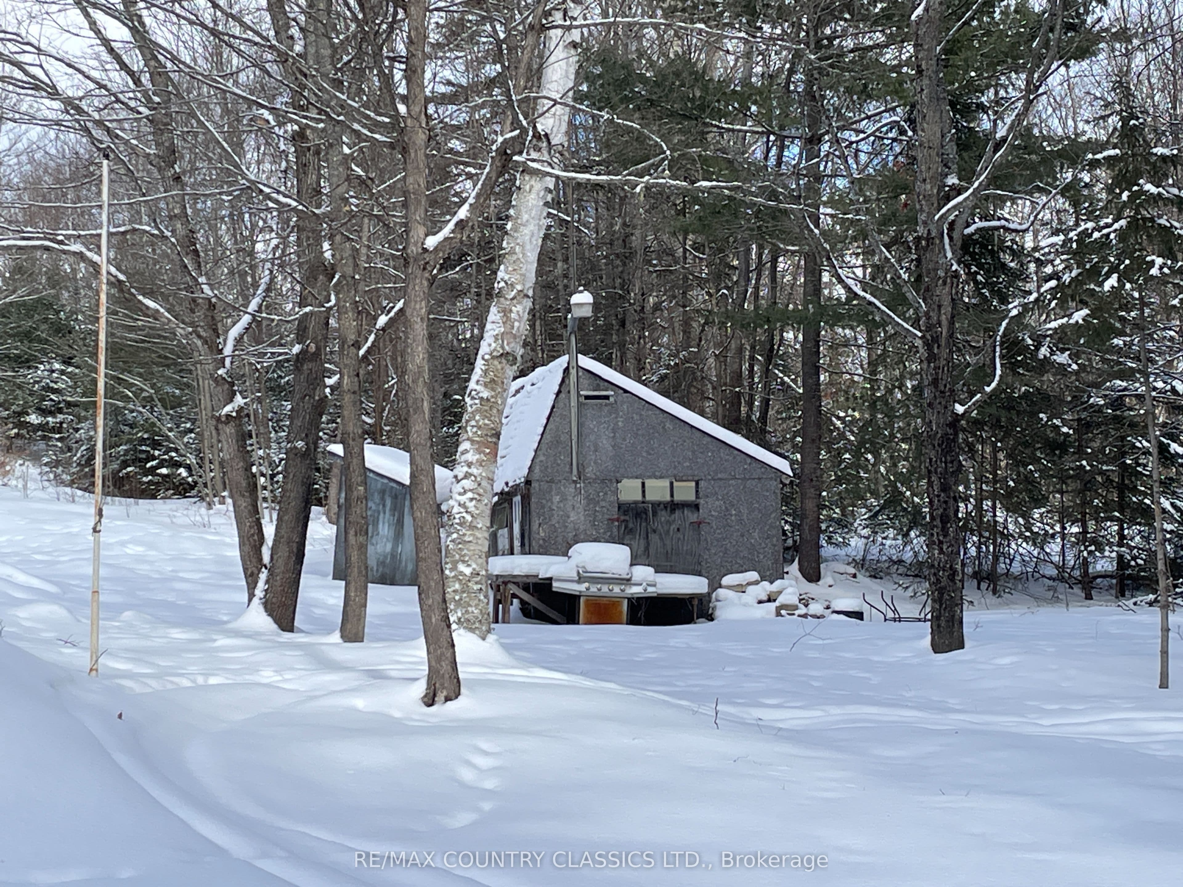 1703 Boulter Road photo 1