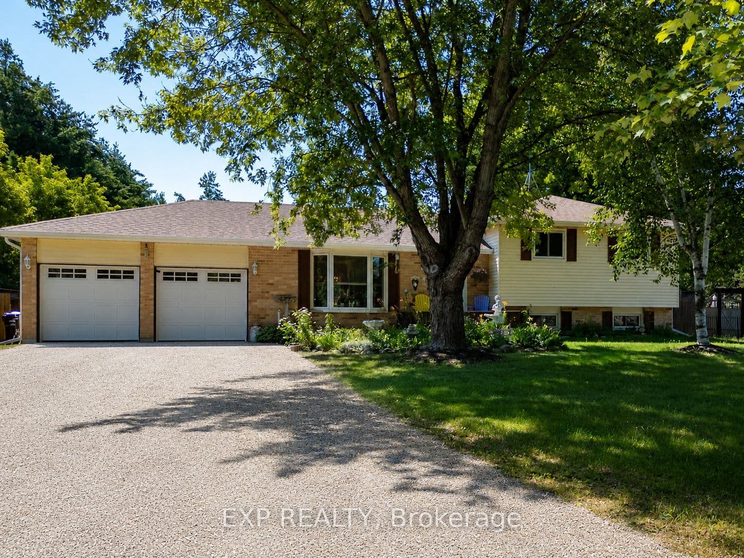 8245 Main Street photo 1