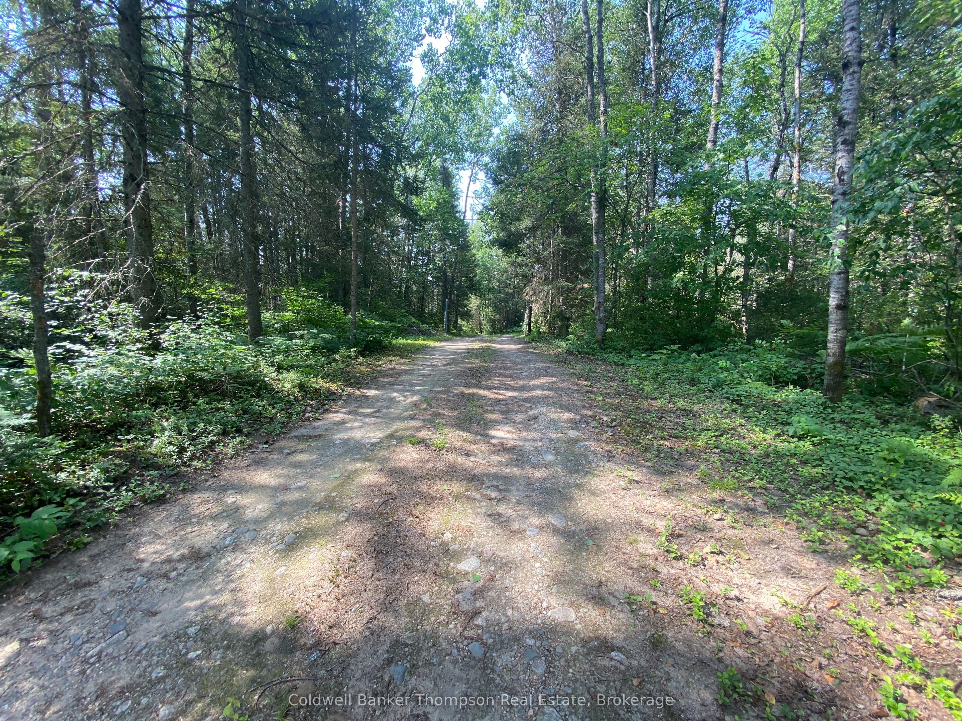 183 Sandhill Road photo 1