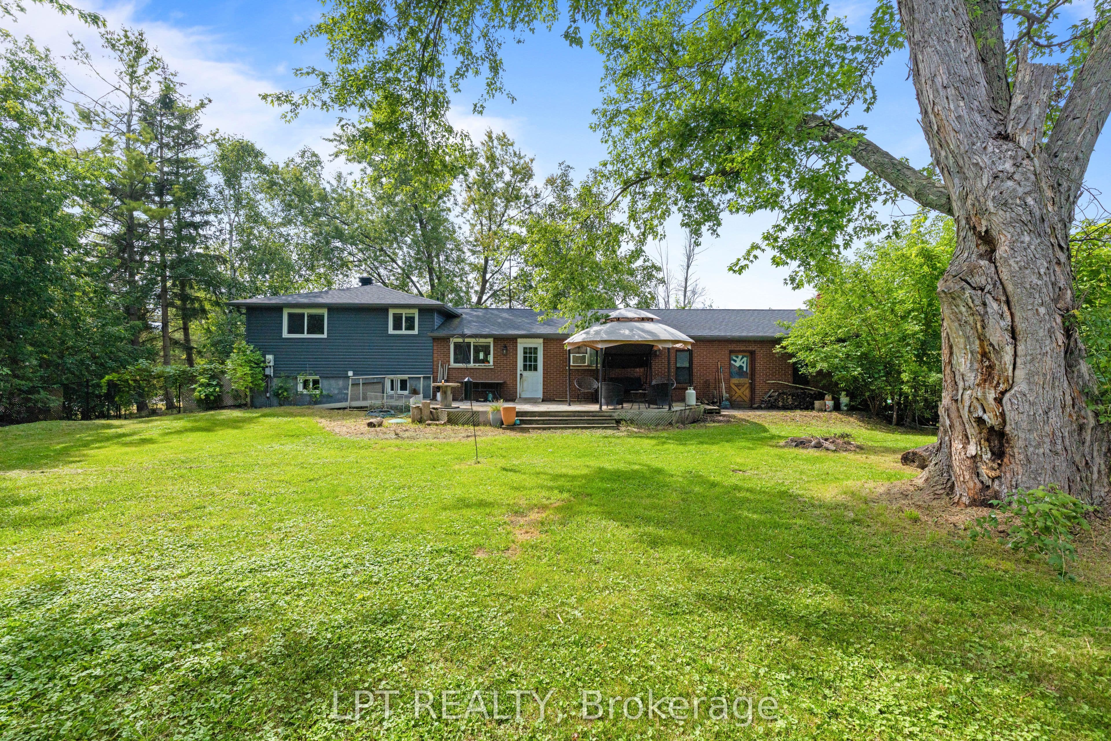 65 George Road photo 1