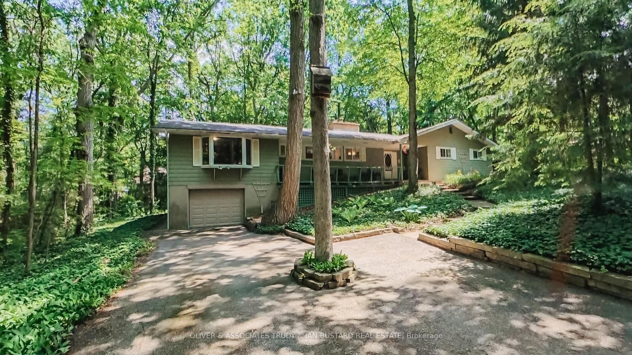 10294 Brewster Boulevard photo 1