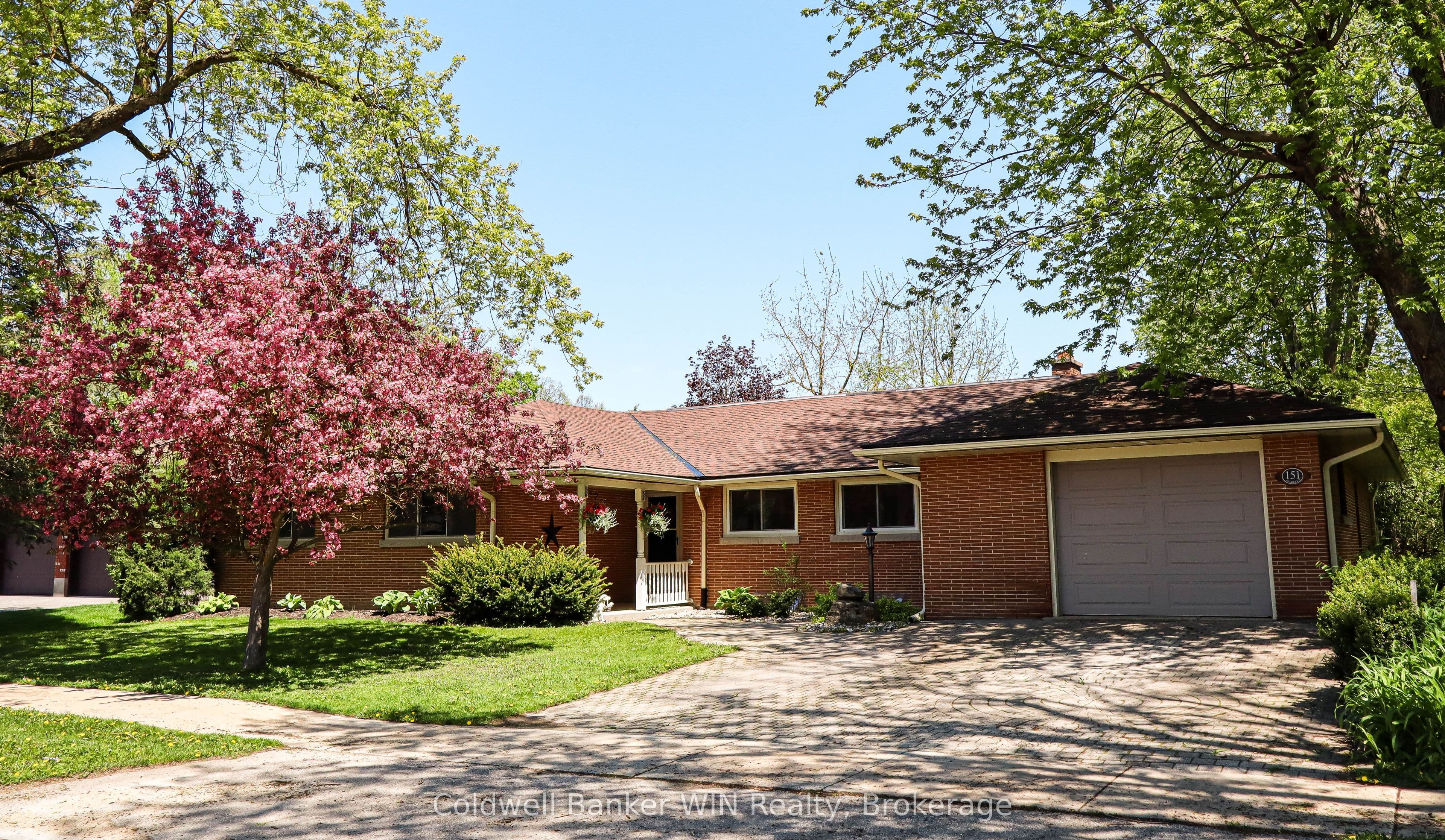 151 Isabella Street photo 1