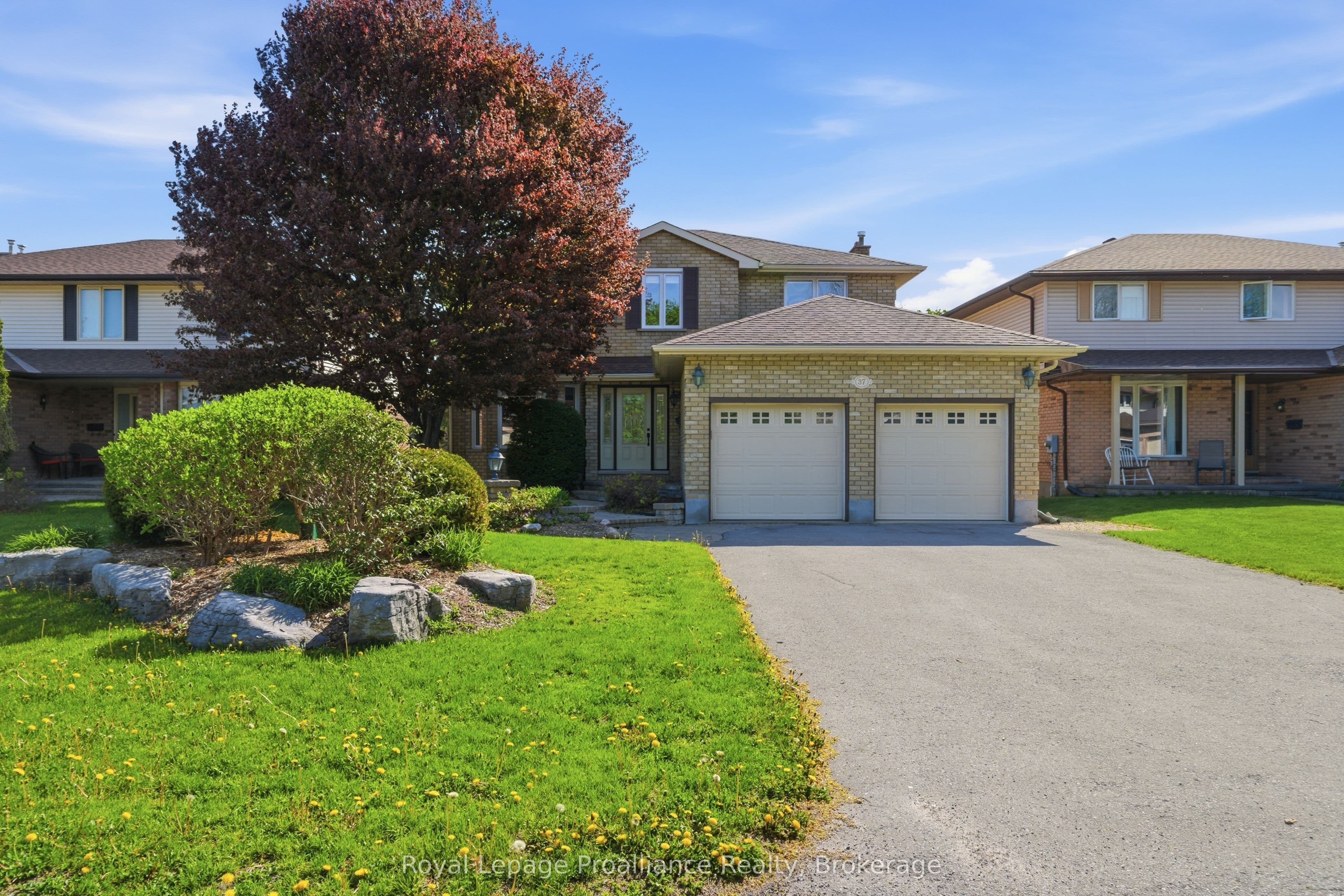 37 Dungannon Drive photo 1