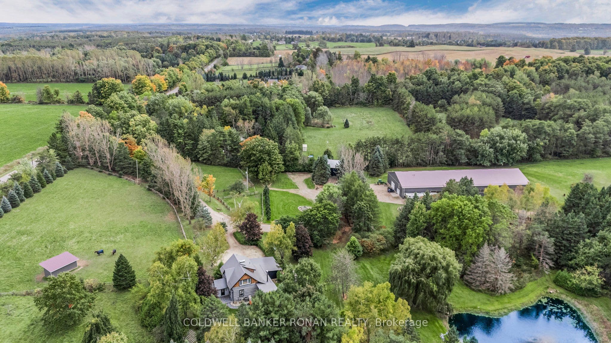 836138 4th Line photo 1