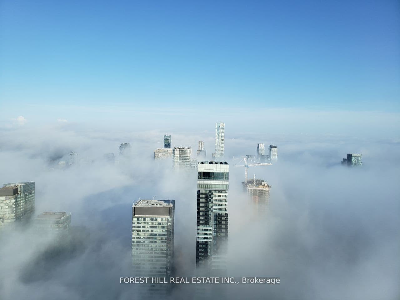 Unit 7401 388 Yonge Street photo 1