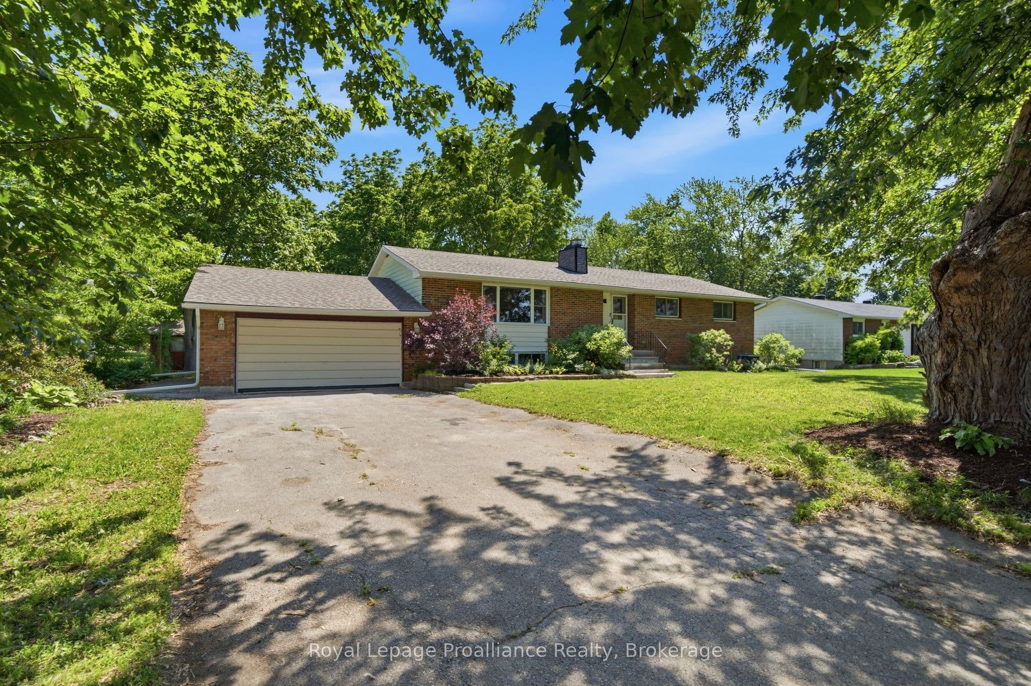 41 WALTER Avenue photo 1