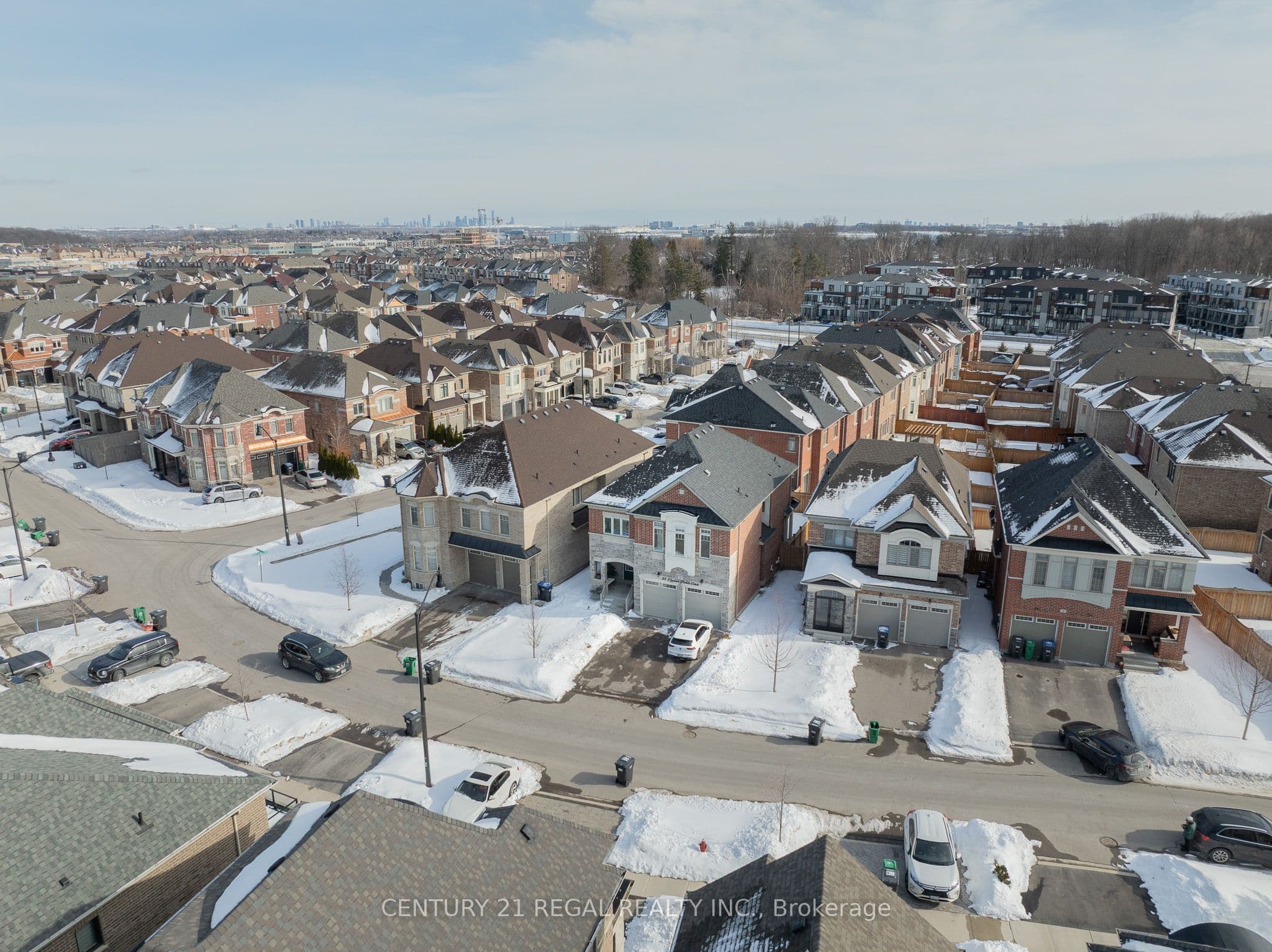 25 Elysian Fields Circle photo 1