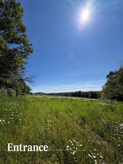 PL 15 Base Line photo 1