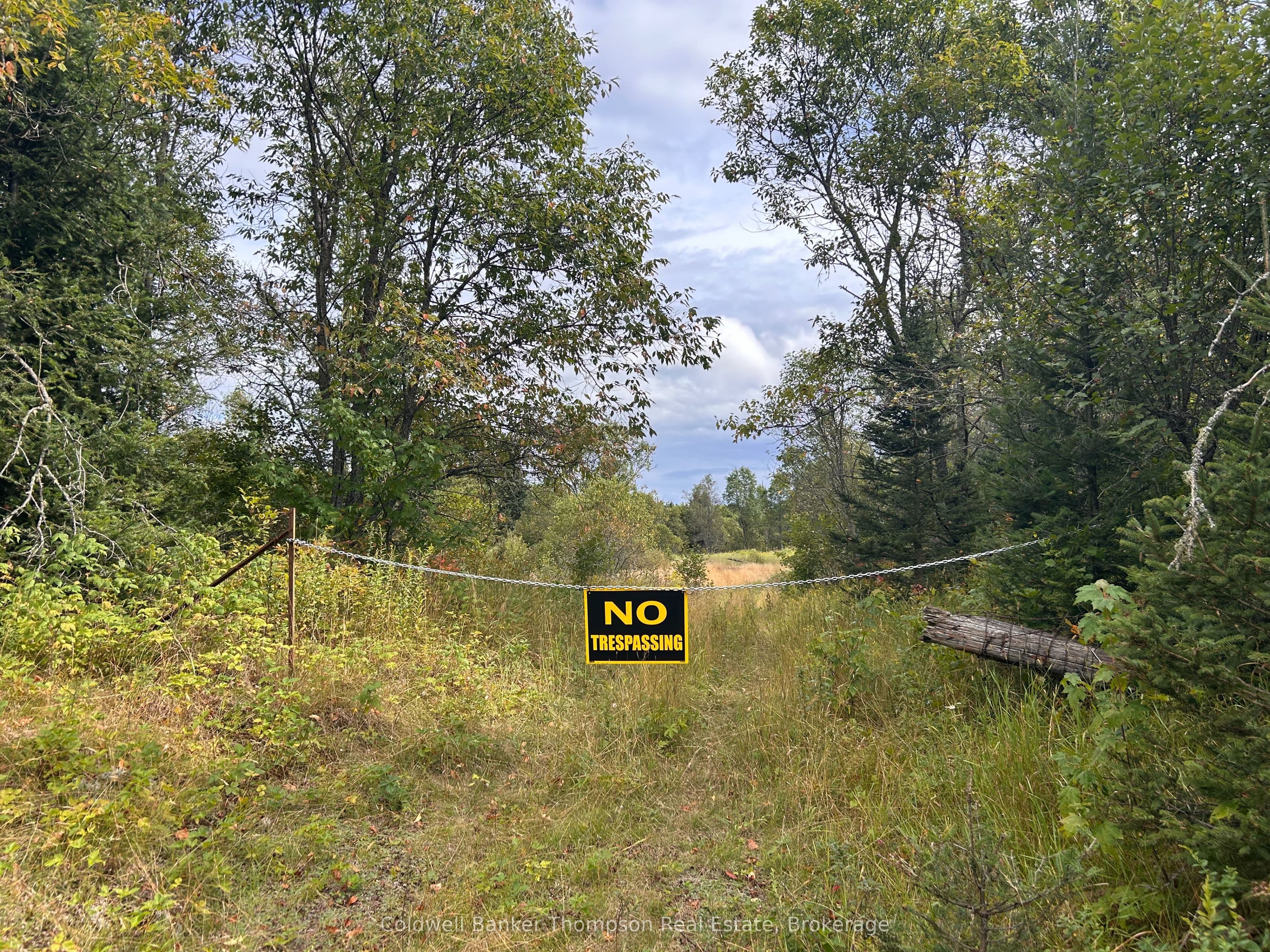 LT 12 Municipal Road photo 1
