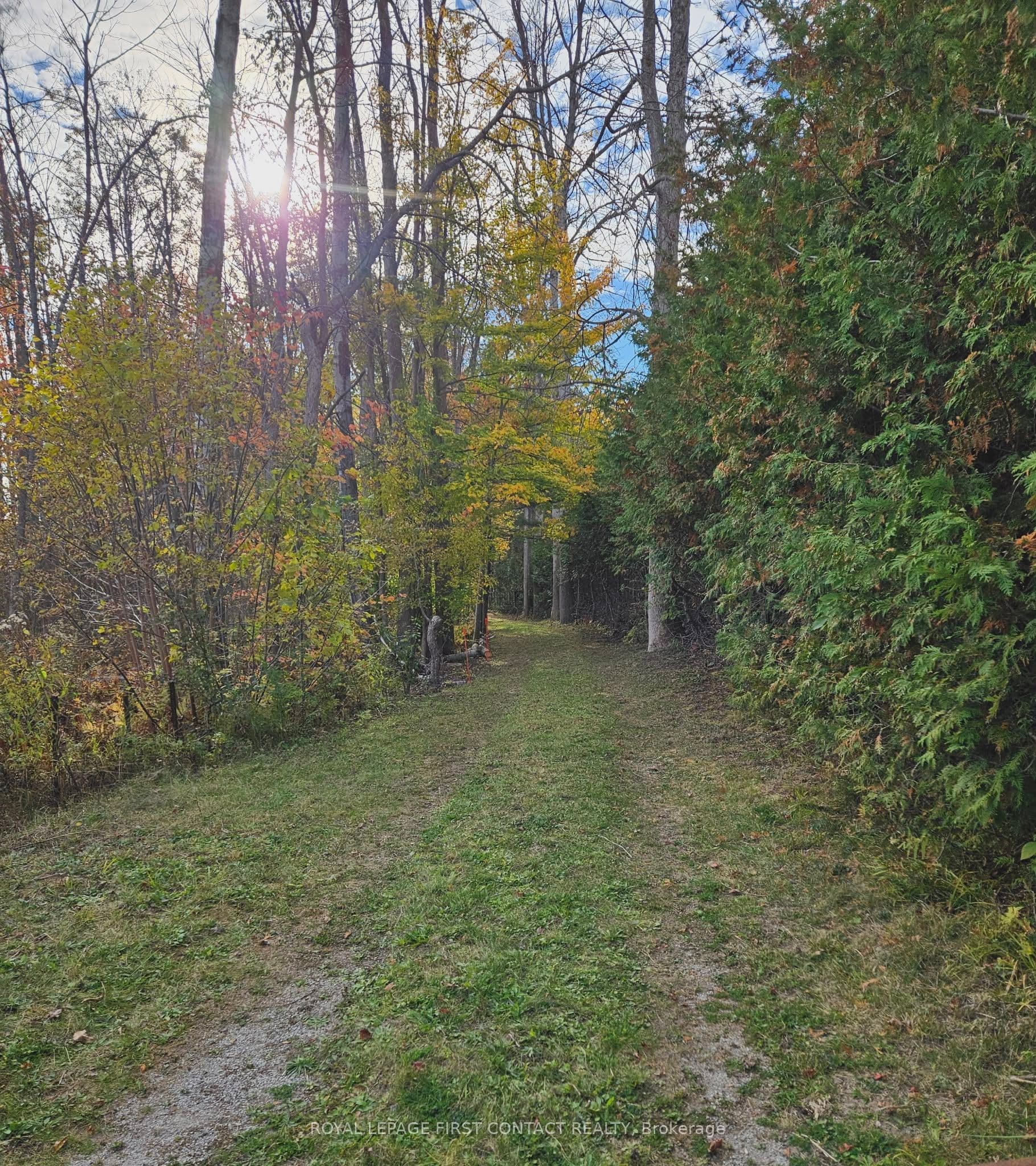3040 Grass Lake Line photo 1
