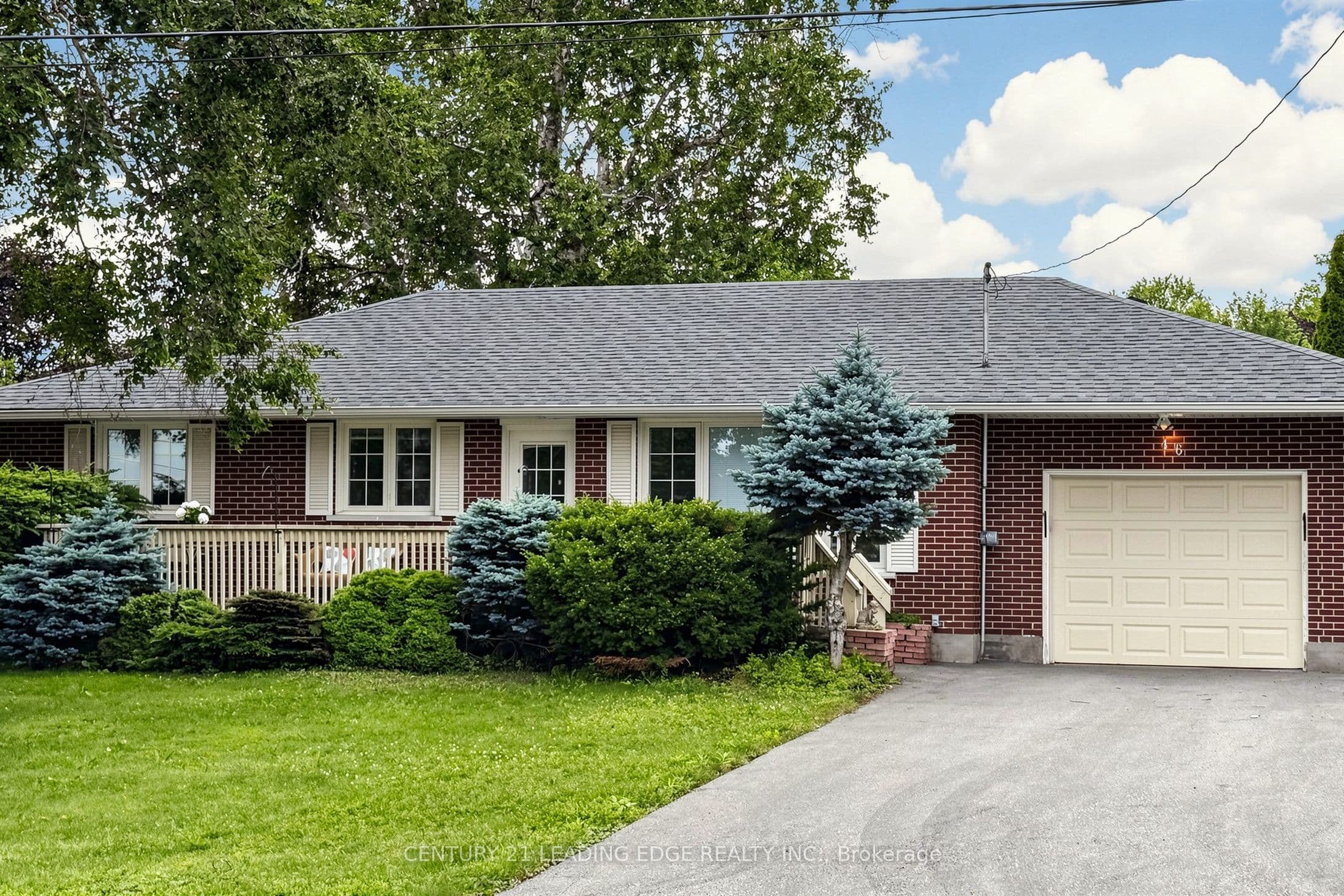 46 Ash Street photo 1