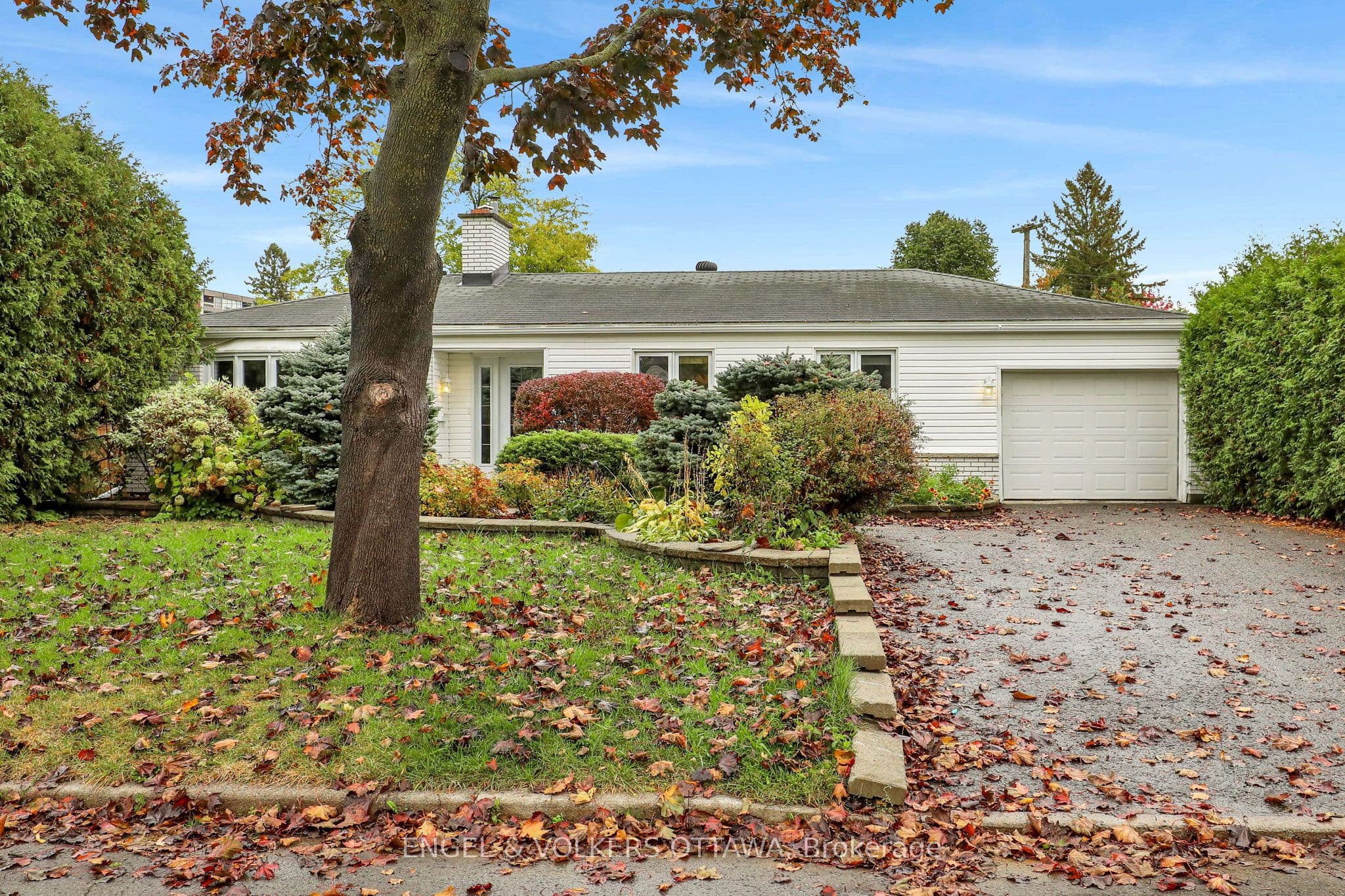 2713 Dupont Street photo 1
