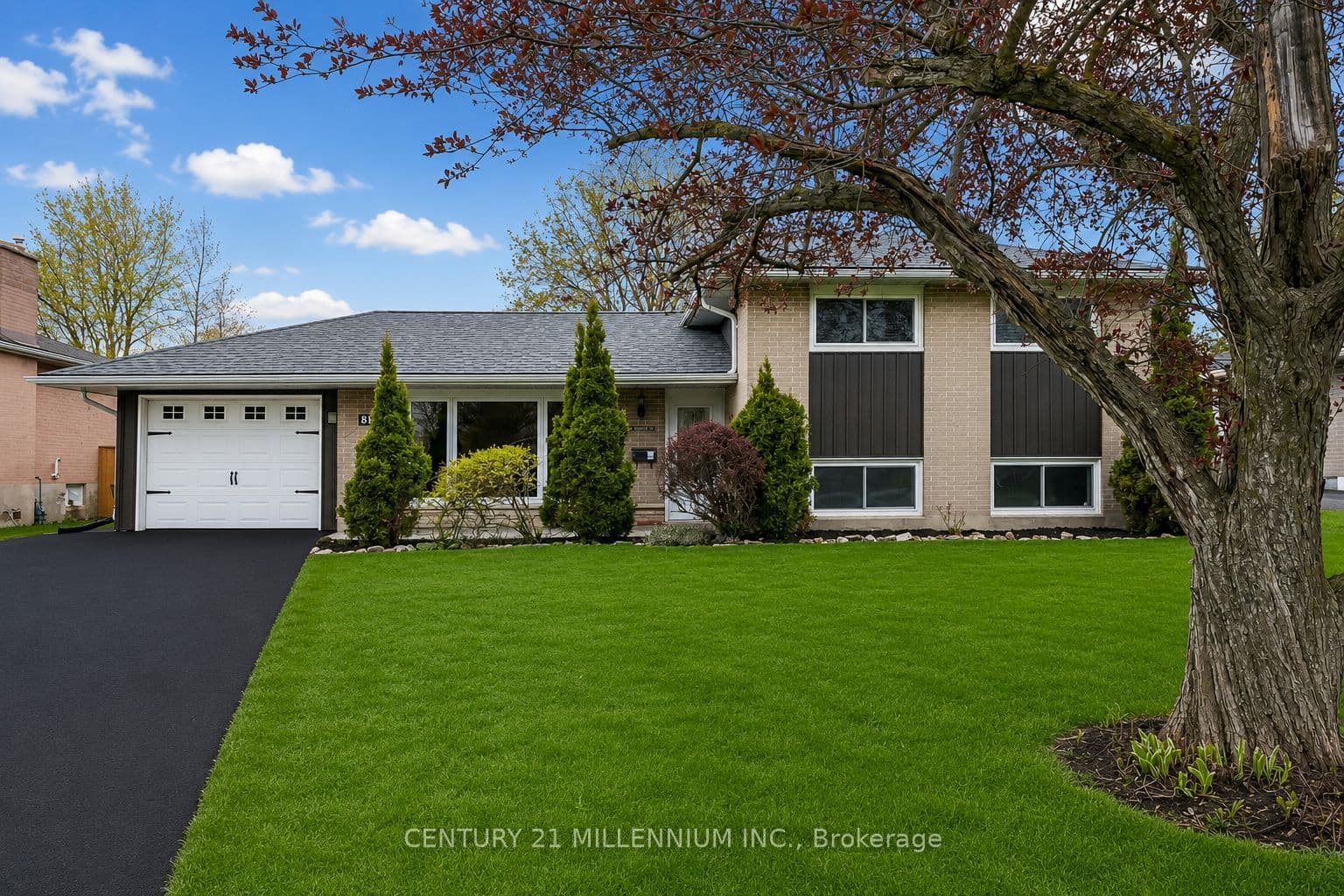 86 Dawson Road photo 1