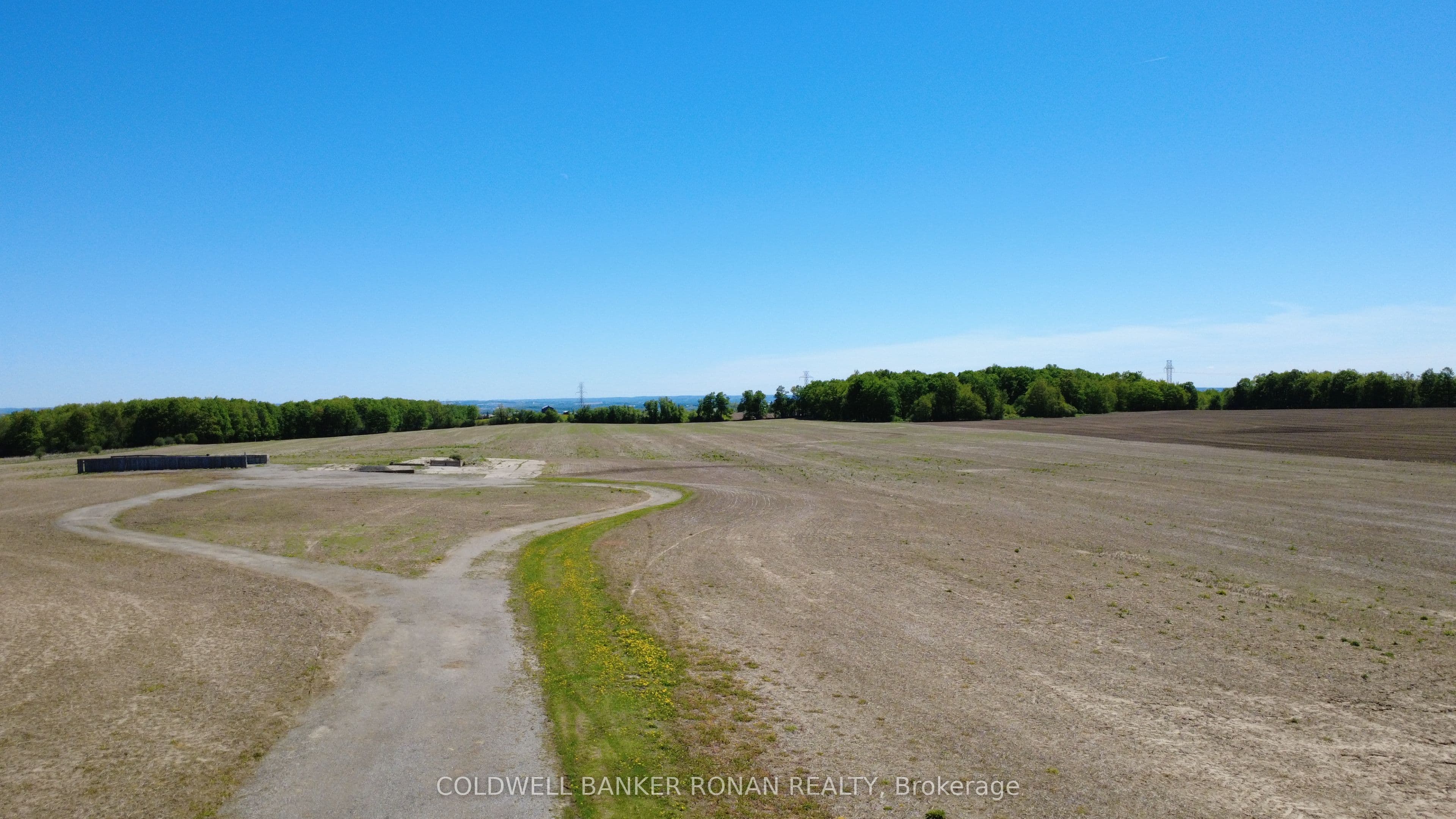 955529 Seventh Line photo 1