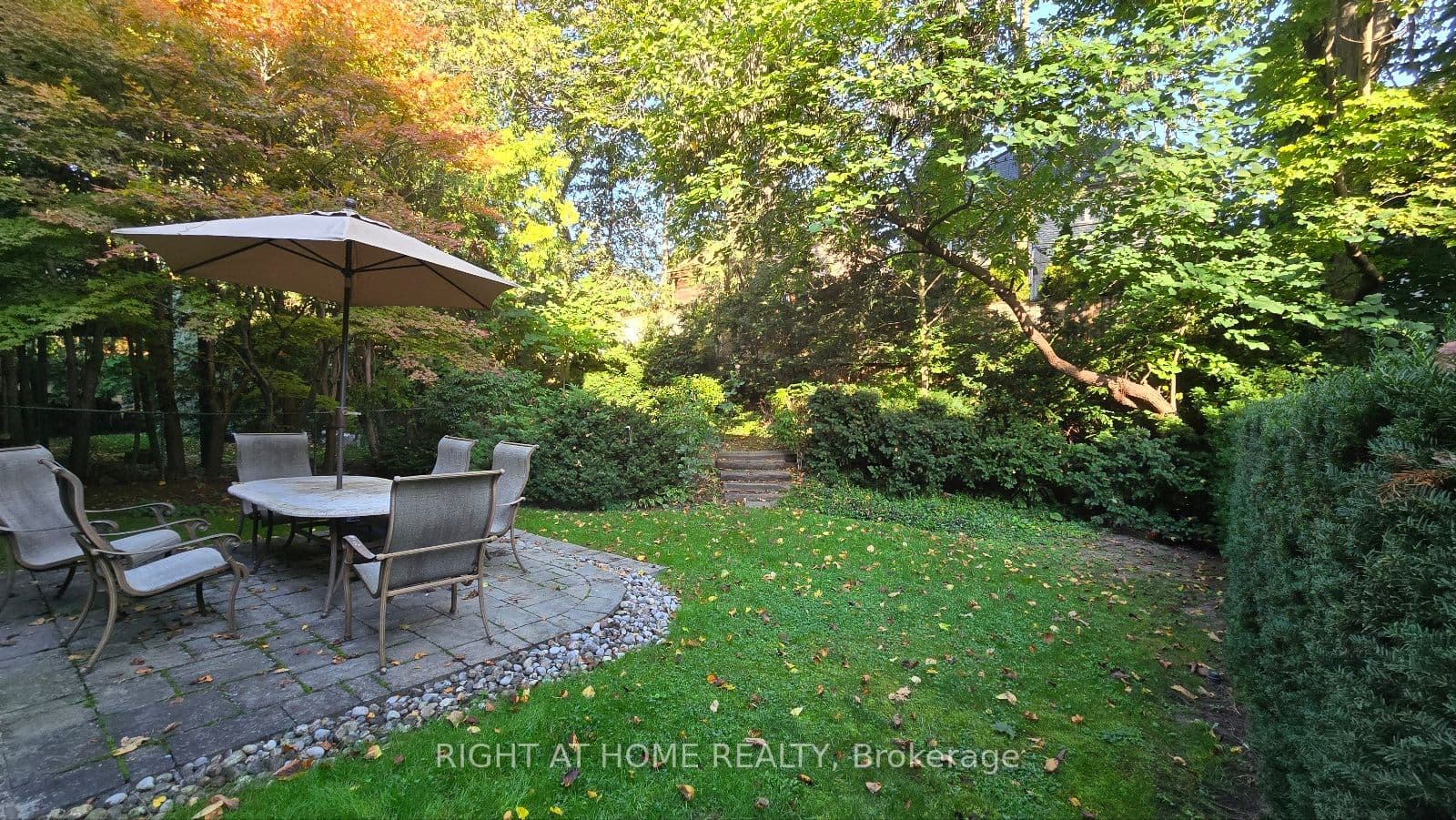 236 York Mills Road photo 1