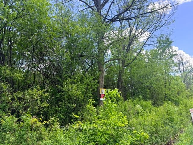 V/L CENTRALIA Avenue photo 1