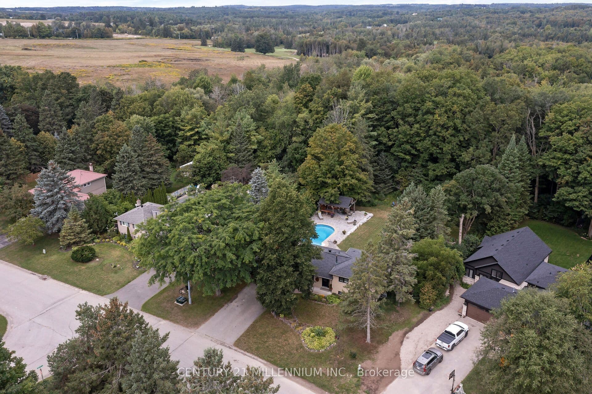 17 Erin Heights Drive photo 1