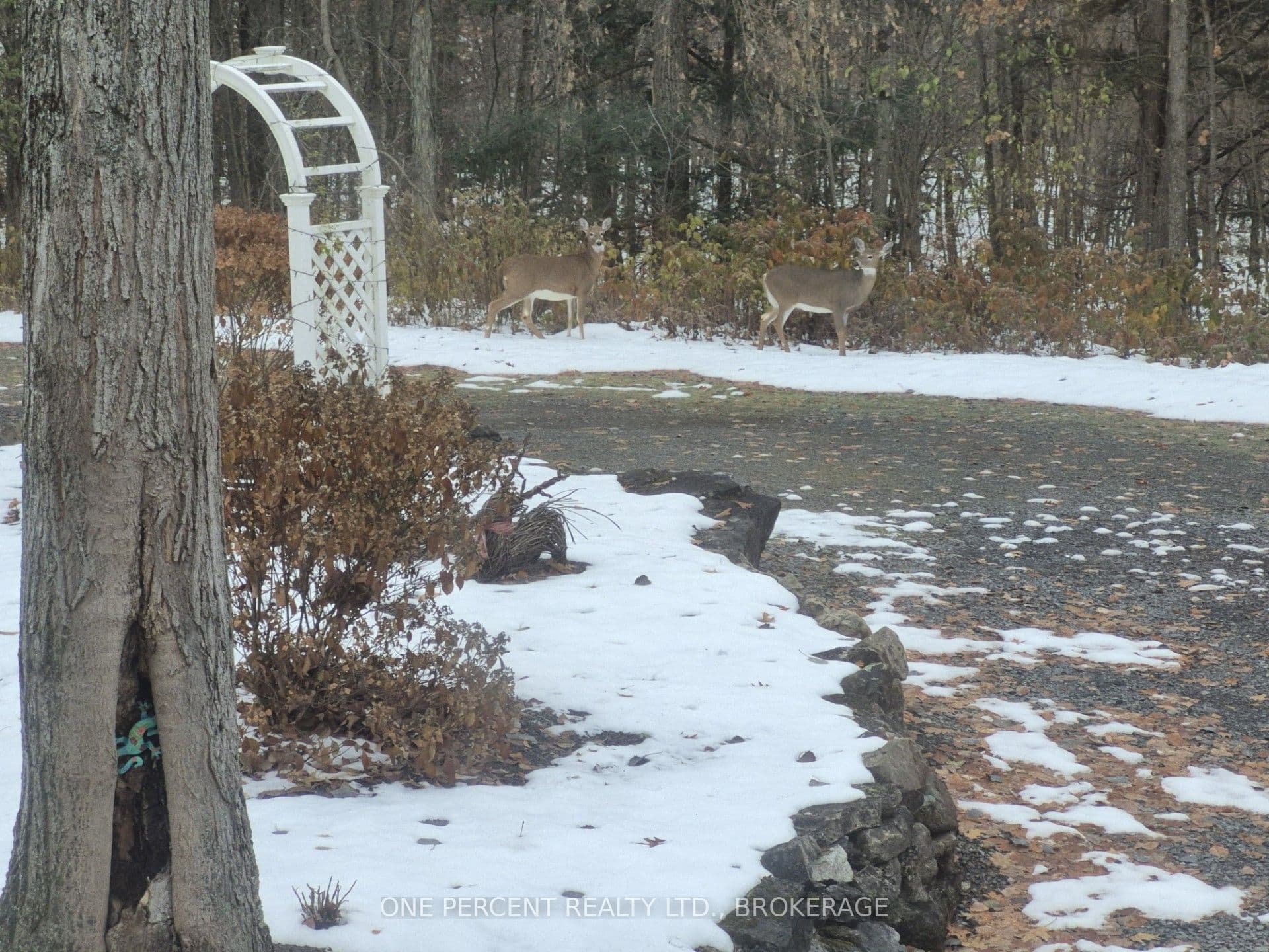 1577 Norway Road photo 1