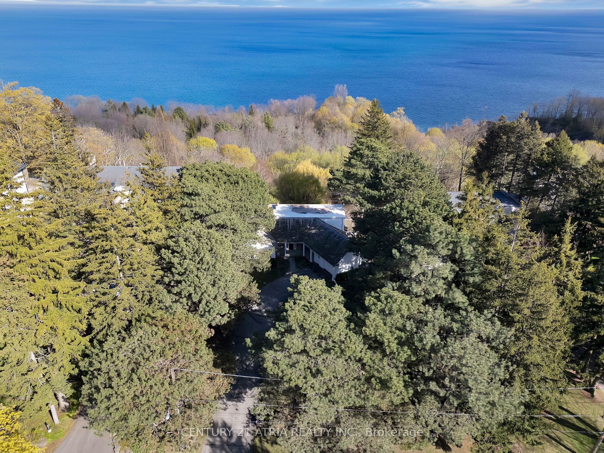 5 Hill Crescent photo 1
