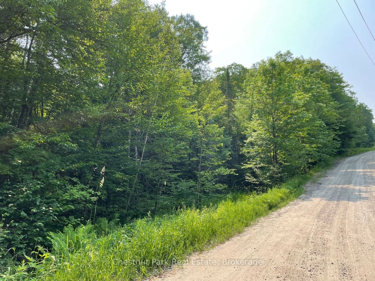 0 Coleman Lake Road photo 1