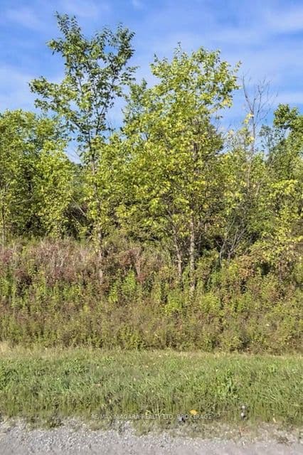 Lot 6 Montrose Road photo 1