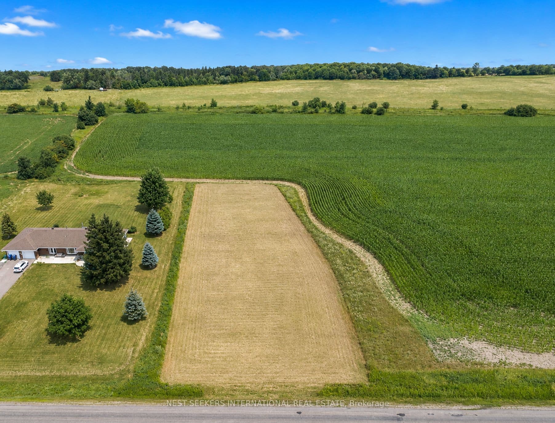 13185 McLaughlin Road photo 1