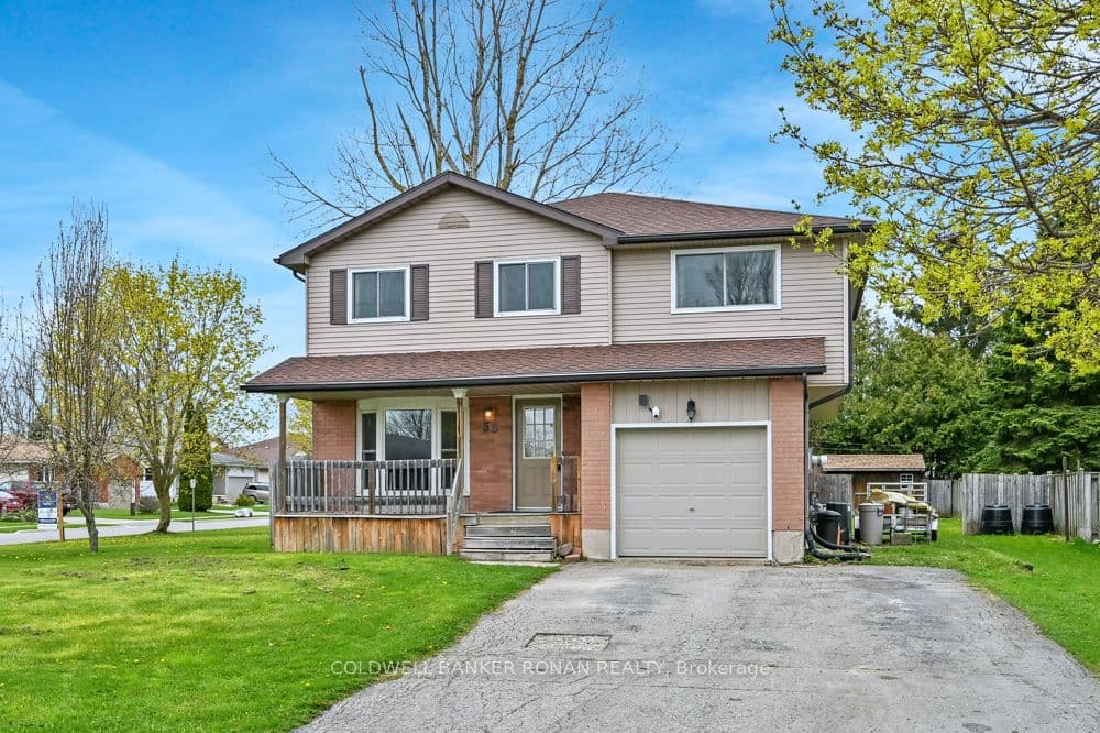 56 Edward Street photo 1