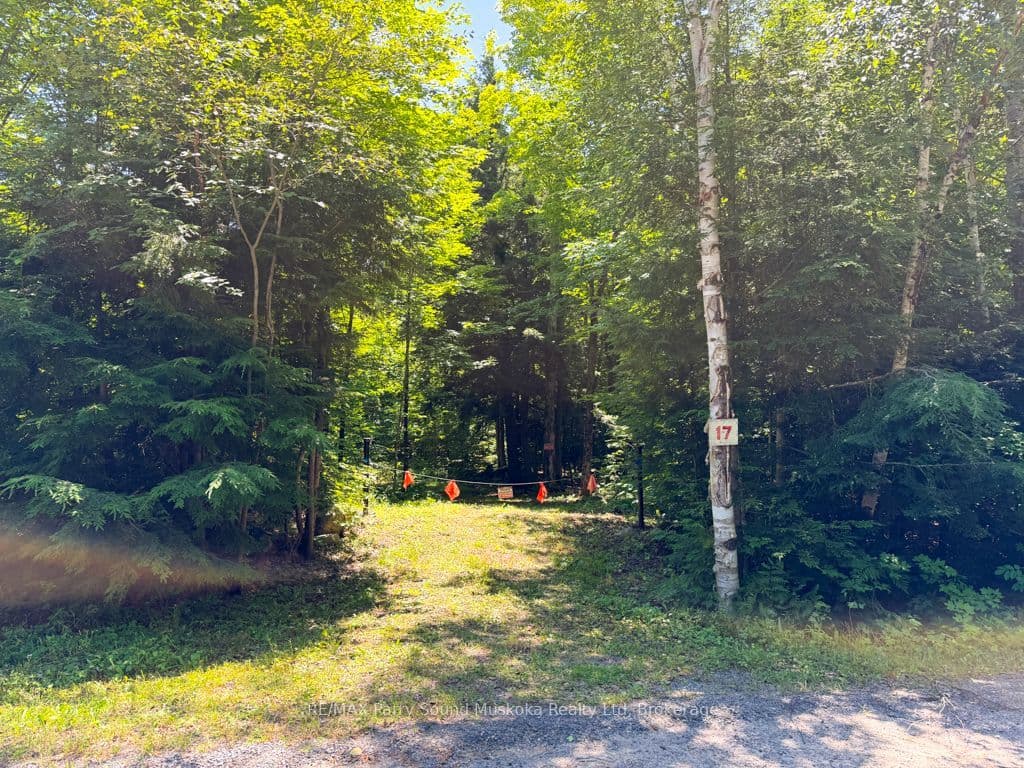 17 White Beaver Trail photo 1